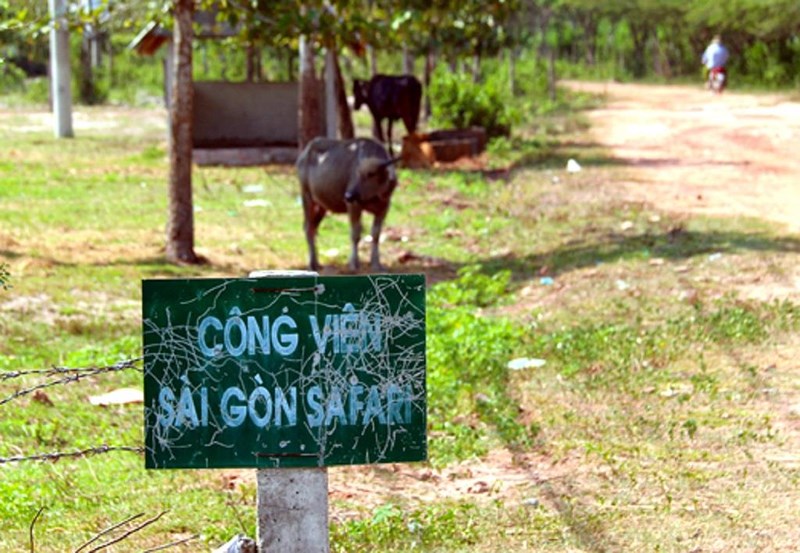 Vì sao công viên Sài Gòn Safari bị “treo” tới 14 năm? - ảnh 1