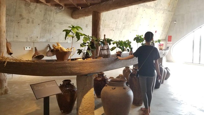 Bảo tàng cà phê độc nhất ở Đắk Lắk có gì? - ảnh 8