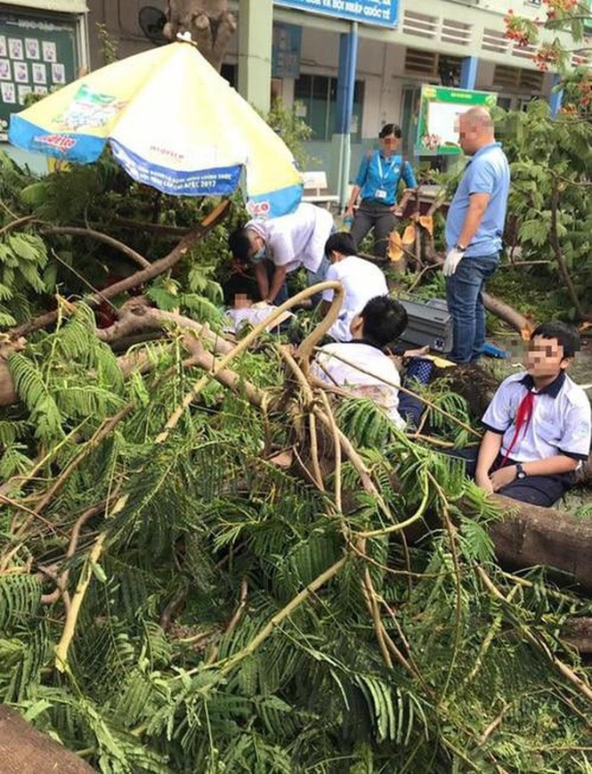 Sao Việt đau lòng lên tiếng sau vụ cây đổ khiến học sinh tử vong - ảnh 2