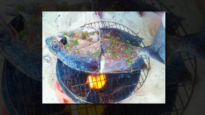 Mùa đông, cá tà ma được nướng lên cho mùi thơm hấp dẫn. Mùa hè, nấu canh, ăn lẩu hoặc cháo thì không thể chê